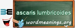 WordMeaning blackboard for ascaris lumbricoides